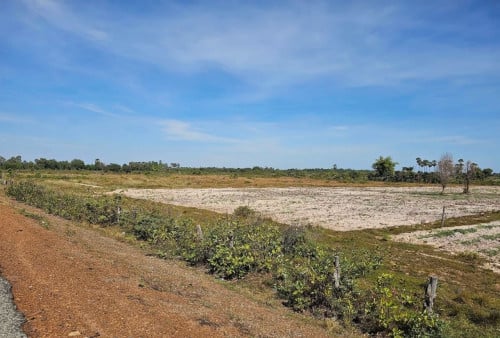 ដីលក់​ប្លង់រឹង​ ក្បាល់ធំ(500m)ជាប់ថ្នល់កៅស៊ូ 15m ​ចុះពីផ្លូវជាតិលេខ​ ៥​ ប្រហែល​ ៨០០ម៉ែត្រ
