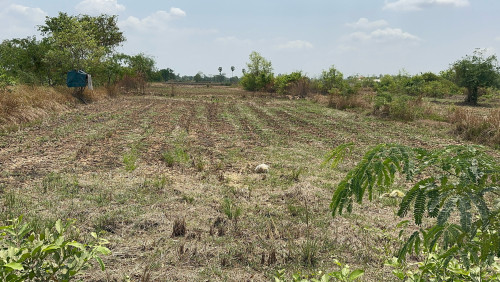 ដីនៅរៃគុង