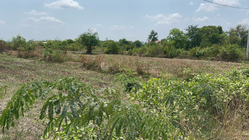ដីនៅរៃគុង