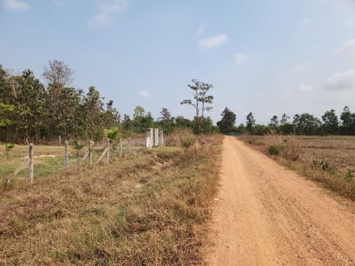 ប្លង់រឹង
