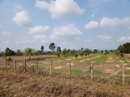 ប្លង់រឹង