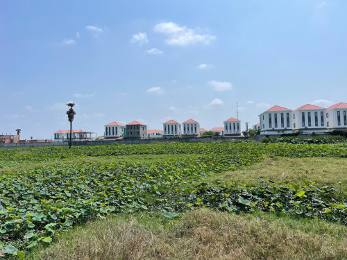 ដីលក់