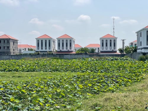 ដីលក់