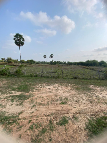 លក់ដីស្រែ