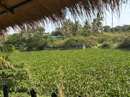 ផ្ទះអាជីវកម្ម