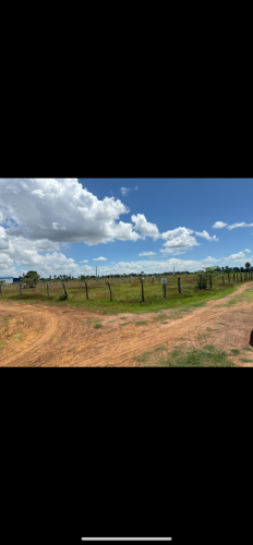 ដីលក់បន្ទាន់ក្រោមទីផ្សារម្ចាស់ផ្ទាល់