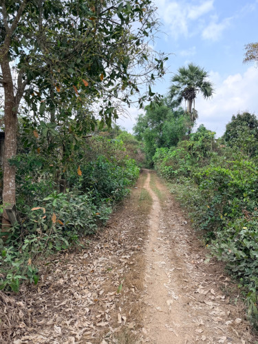 ផ្ទះលក់ឡៃឡុងសងបំណុល$25000