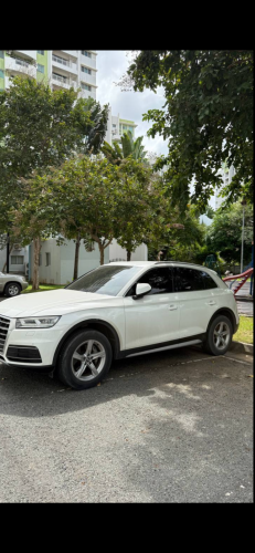 2019 Audi Q5 Company Single Owner