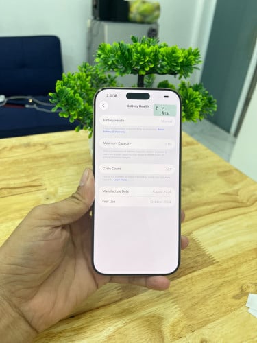 iPhone 16 Promax