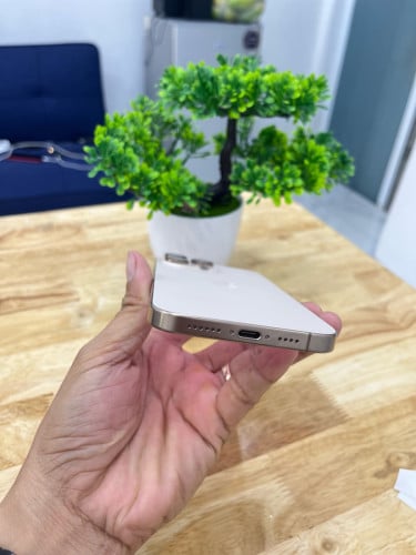 iPhone 16 Promax