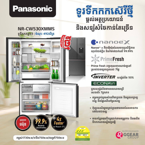 Panasonic NR-BB252QPWA