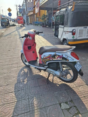 Scoopy 2014