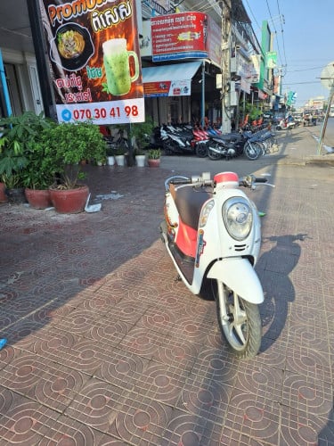Scoopy 2014