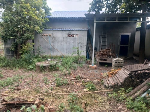 ឃ្លាំងជួលឬលក់(ប្លង់រឹង)
