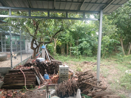 ឃ្លាំងជួលឬលក់(ប្លង់រឹង)