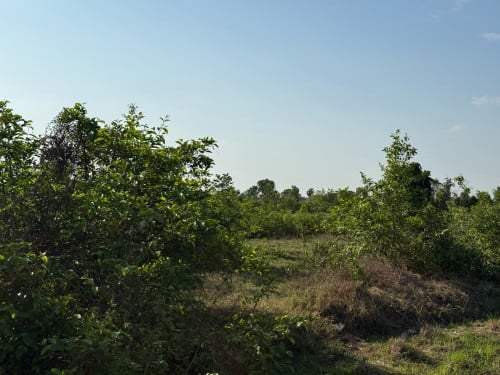 ដីកែងលក់បន្ទាន់លុយ ជិតរោងចក្រ