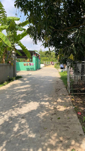 ដីលក់