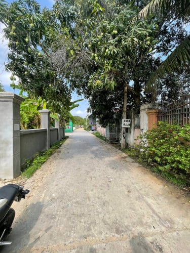 ដីលក់