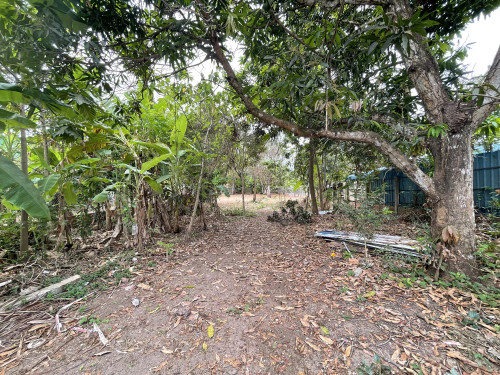 🏘 ដី ជិតស្ពានព្រែកសំរោង ត្រូវការលក់បន្ទាន់ខ្លាំង (កូដ: A01-061437)