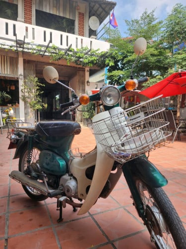 ទុកជិះផឹកកាហ្វេ មួយទឹកអត់កាត បាត់ដំបងចាស់😍