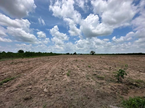 (2$/1m2) Land for Sale🚨ដីស្អាតលក់បន្ទាន់