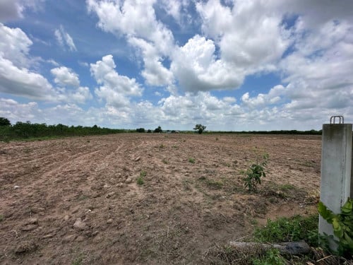 (2$/1m2) Land for Sale🚨ដីស្អាតលក់បន្ទាន់