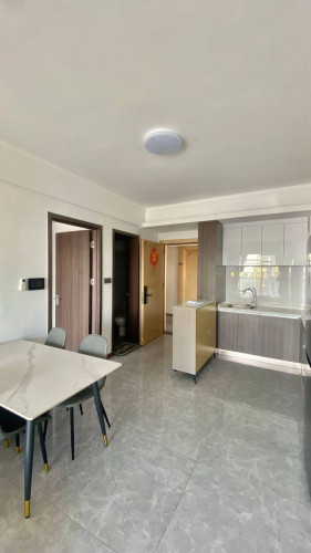 Condo for rent at Boeng keng kong2
