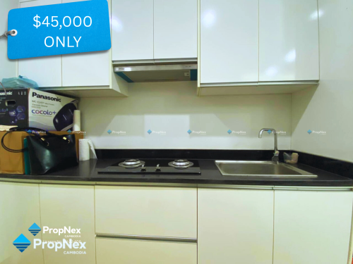 Very Cheap Condo for sale price! Only $45,000 — don’t miss this special opportunity!