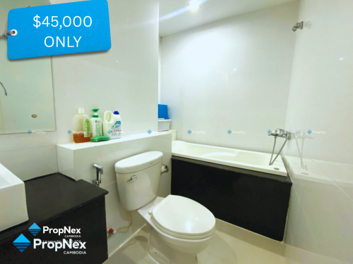 Very Cheap Condo for sale price! Only $45,000 — don’t miss this special opportunity!