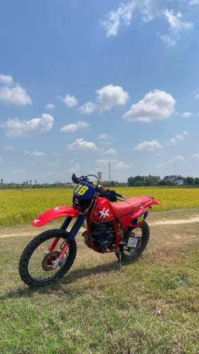 XR 250c  2000$