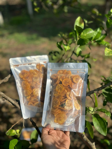 ចេកឆាប