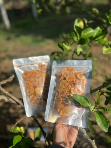 ចេកឆាប