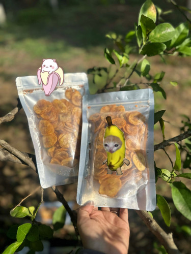 ចេកឆាប