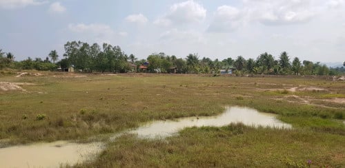 ដីសម្រាប់ជួល