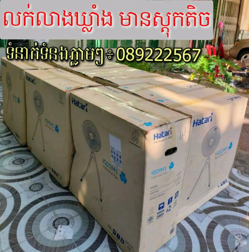 កង្ហារហាតារី (Hatari)