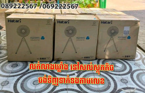 កង្ហារហាតារី (Hatari)