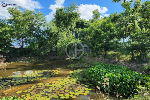 ដីលក់ នៅស្រុកអង្គស្នួល -S414