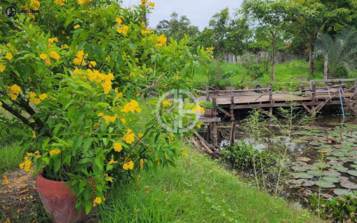 ដីលក់ នៅស្រុកអង្គស្នួល -S414