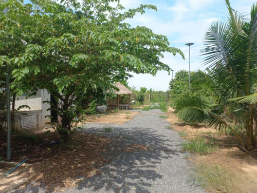 🏦Land Available for Urgent Sale at a Special Price (Negotiable).