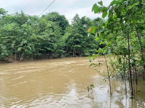 Durian Farm Land for Sale at Kompot Province