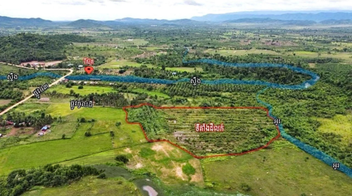 Durian Farm Land for Sale at Kompot Province