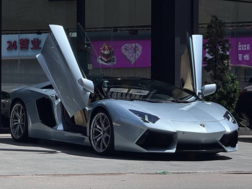 Lamborghini Aventador Roadster 50th Anniversary Arab Spec