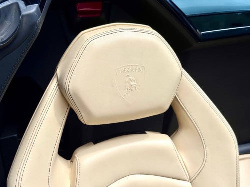 Lamborghini Aventador Roadster 50th Anniversary Arab Spec