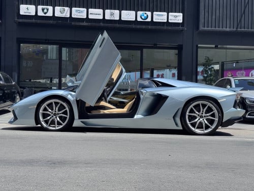 Lamborghini Aventador Roadster 50th Anniversary Arab Spec