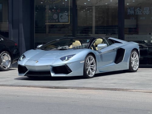 Lamborghini Aventador Roadster 50th Anniversary Arab Spec