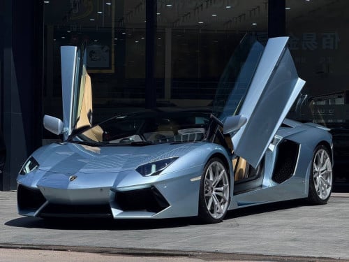 Lamborghini Aventador Roadster 50th Anniversary Arab Spec