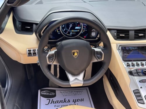 Lamborghini Aventador Roadster 50th Anniversary Arab Spec