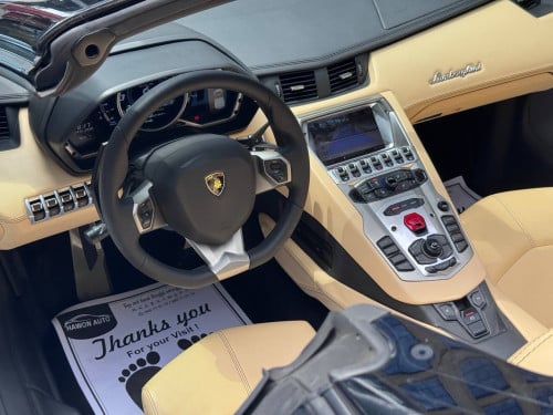Lamborghini Aventador Roadster 50th Anniversary Arab Spec