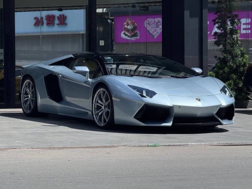 Lamborghini Aventador Roadster 50th Anniversary Arab Spec