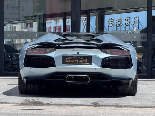 Lamborghini Aventador Roadster 50th Anniversary Arab Spec